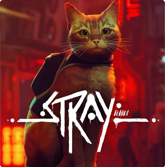 Stray - Steam Account