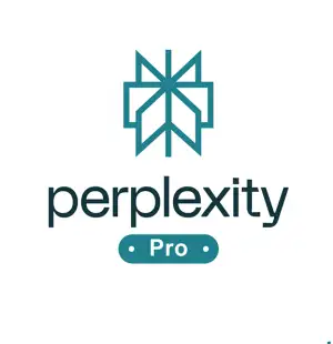 Perplexity Pro 1 Year